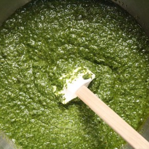 pesto